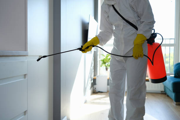 Trusted North Lakes, AK Mold Remediation Experts